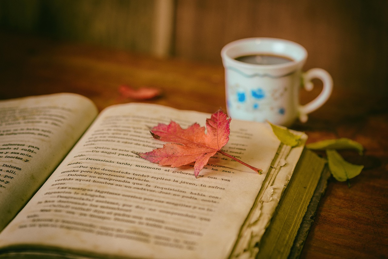 The careful reader guide to reading expert opinions
